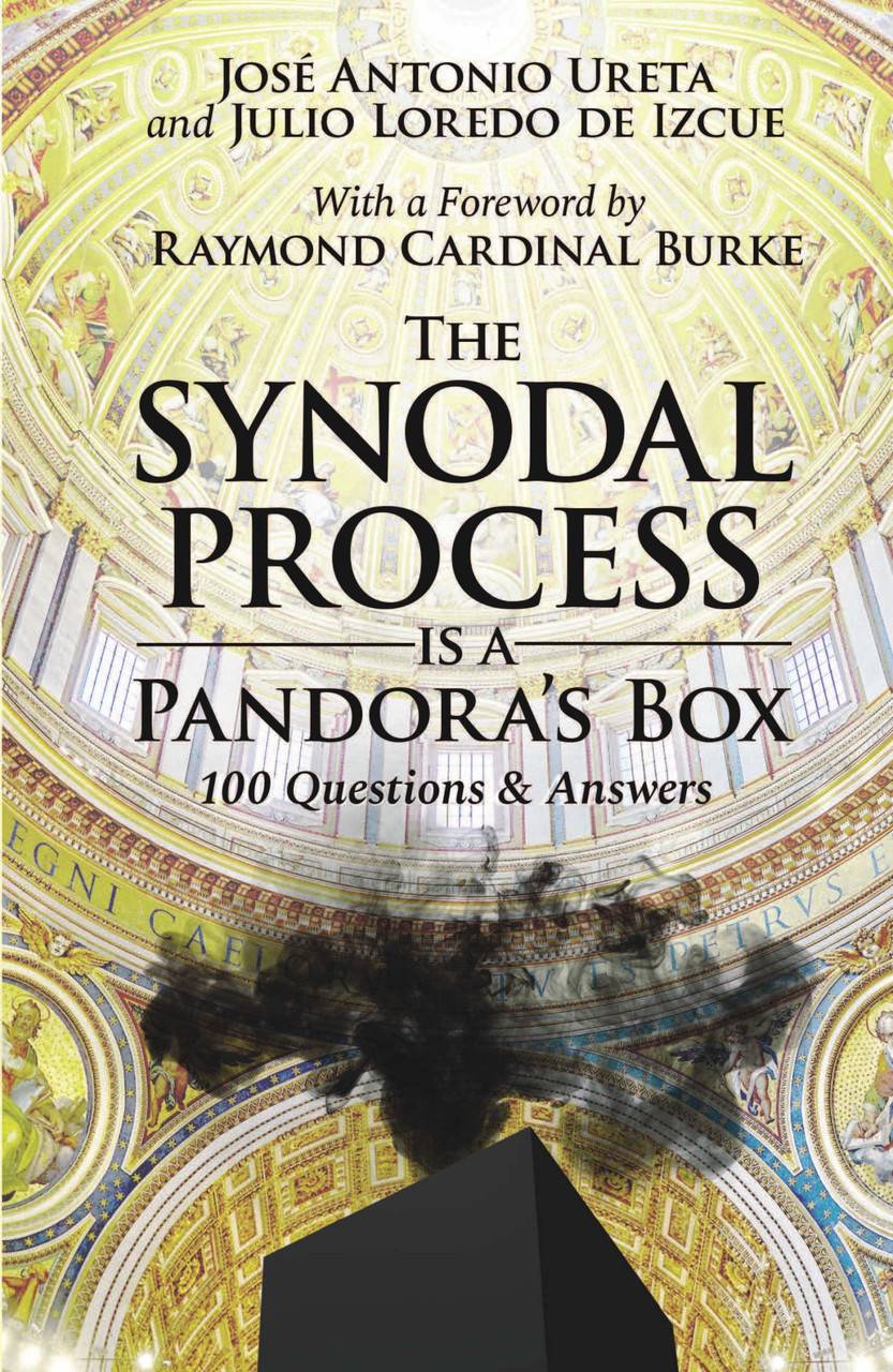 TFP-the-synodal-process-is-a-pandoras-box