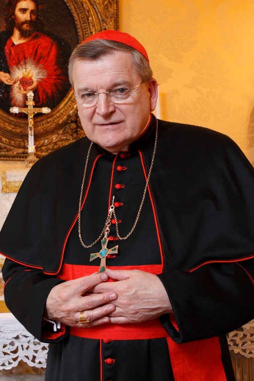 Cardinal Raymond Leo Burke